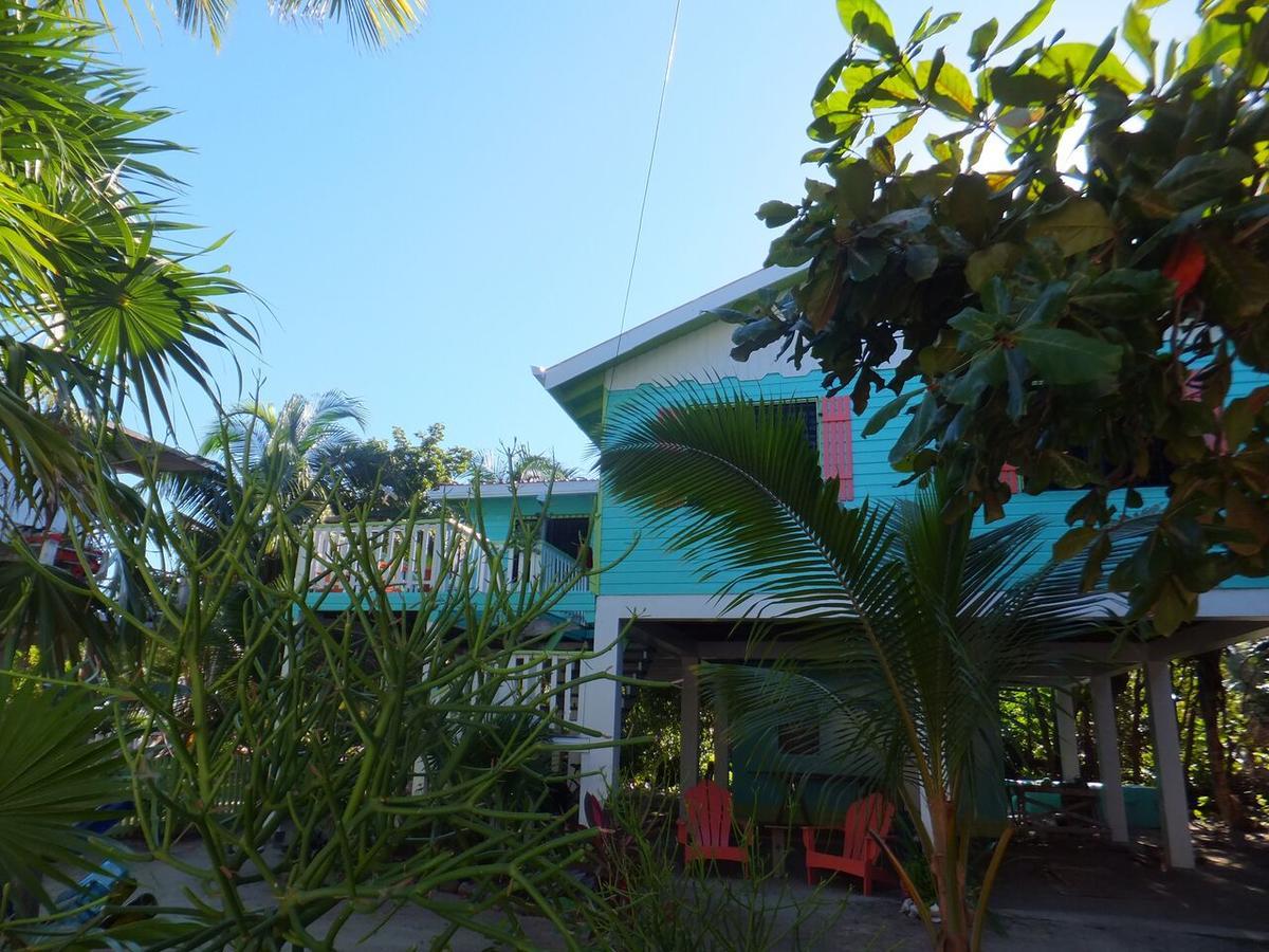 The Bottle Tree House Villa Caye Caulker Ngoại thất bức ảnh